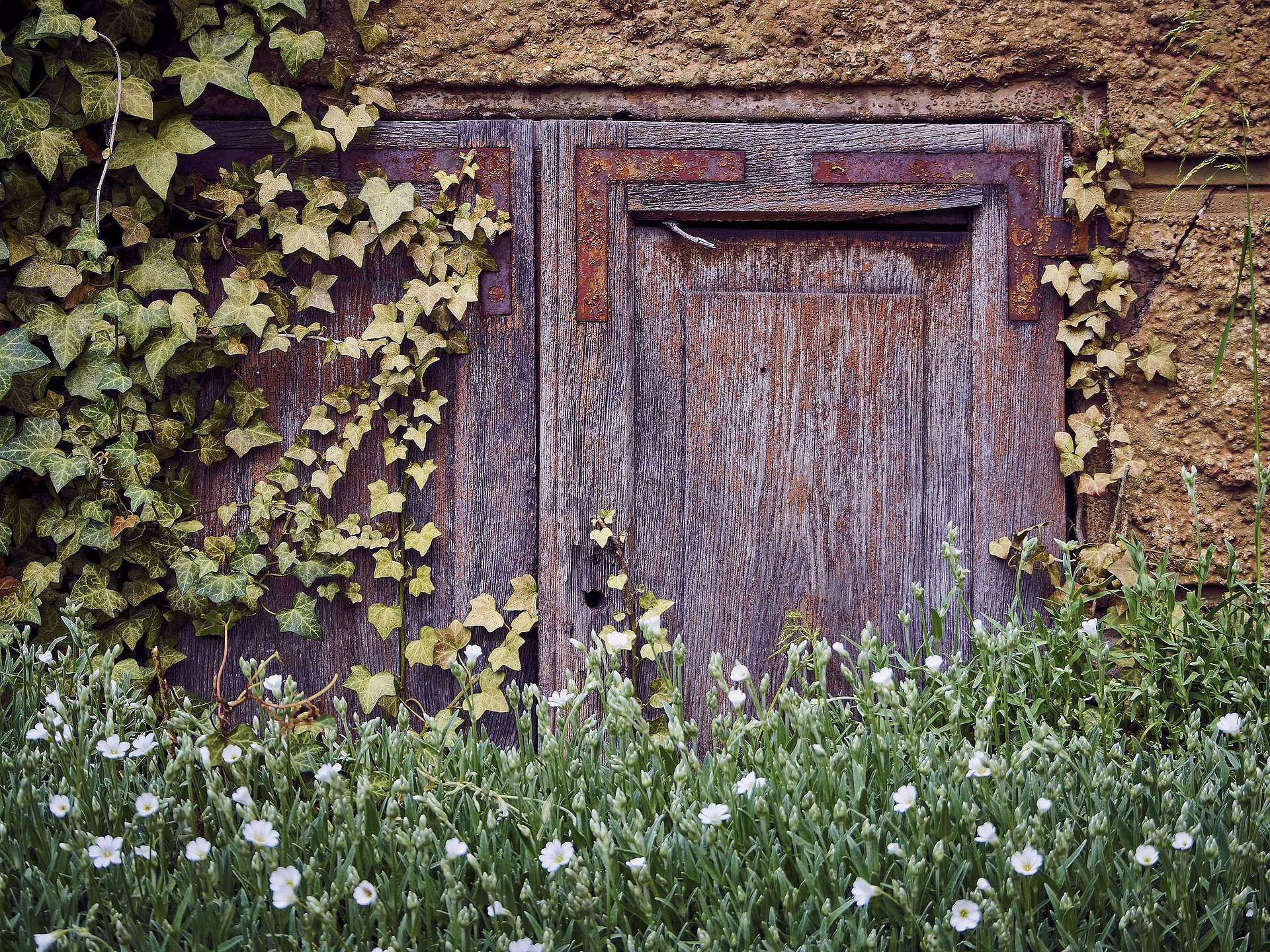 goal-2827579_1920 das Sonnenfänger - Material