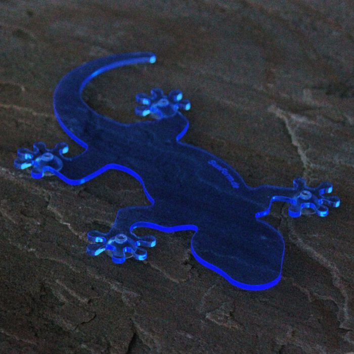 Sonnenfänger der leuchtende Salamander, blau