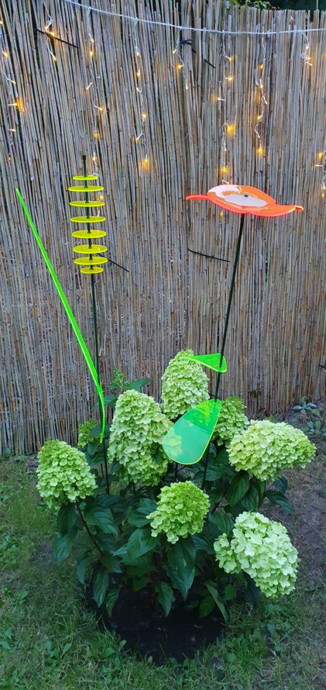 die leuchtende Blume 42 SunForm-Sonnenfänger Bild #1 von Ramona M.