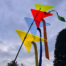 Sonnenfänger, die bunten Kites