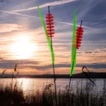 das leuchtende Schilfgras 65 SunForm-Sonnenfänger das leuchtende Schilfgras