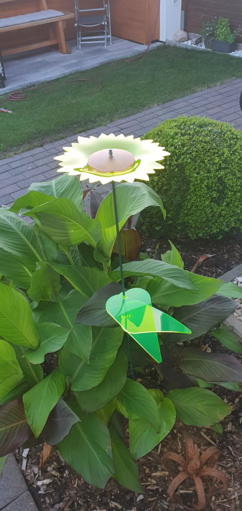 leuchtende Sonnenblume 44 SunForm-Sonnenfänger Bild #2 von Liane S.