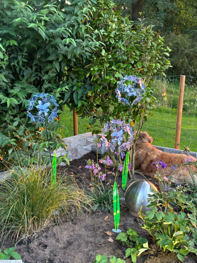 Sonnenfänger Allium – Leuchtende Gartendeko & Gartenstecker 51 SunForm-Sonnenfänger Bild #2 von Wolfgang Graw