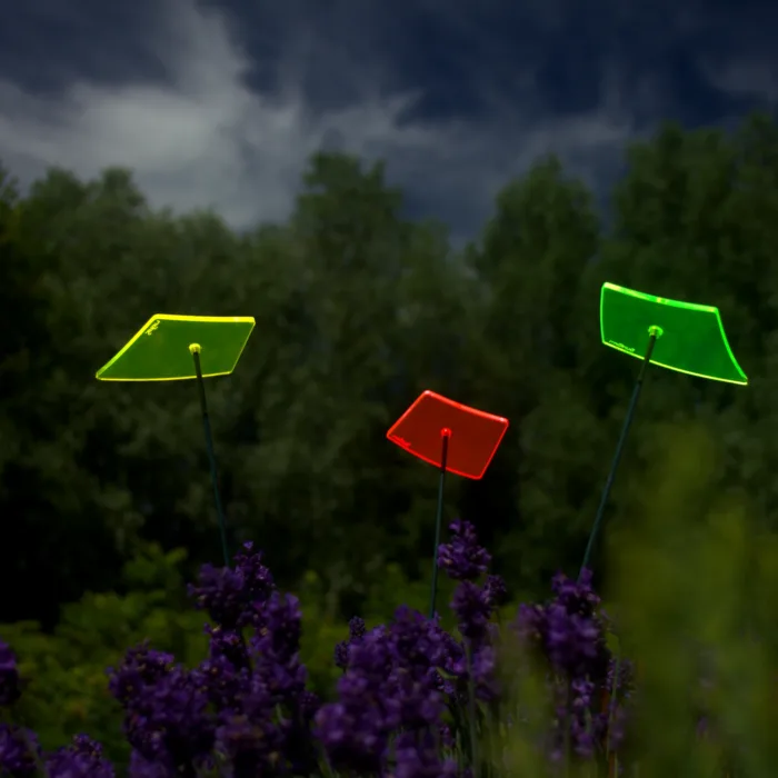SunForm-Design, Gartendeko, drei Mini-Flugdrachen