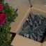 Lamellenanker, Bodenstecker für kleine Sonnenfänger mit 3mm-Schwingstäben