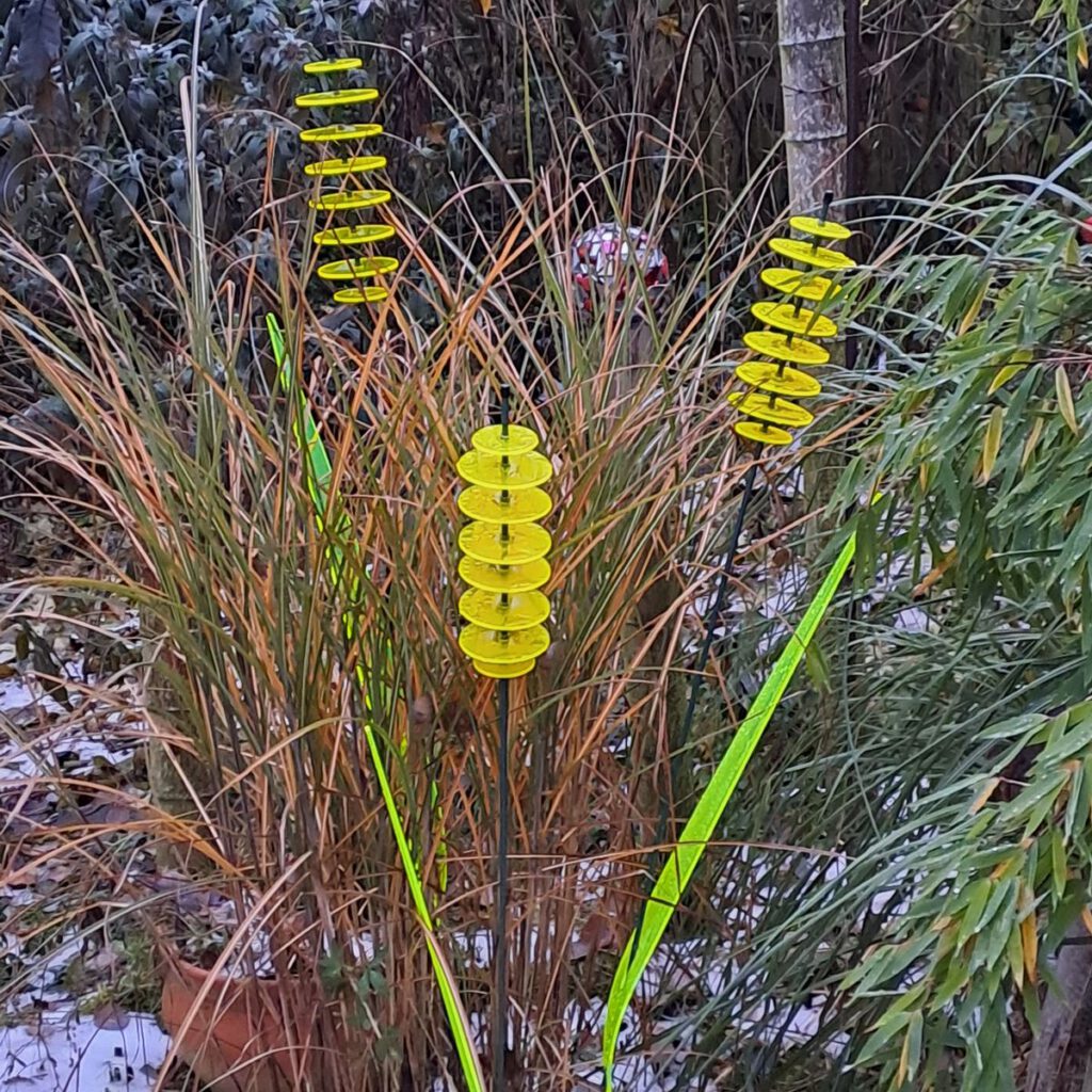 das leuchtende Schilfgras 29 SunForm-Sonnenfänger Bild #1 von Doris O.