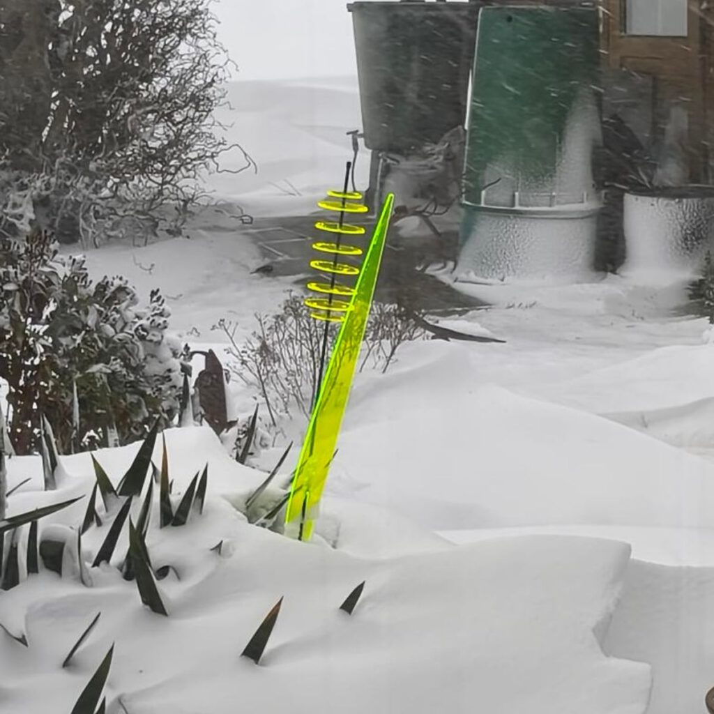 das leuchtende Schilfgras 24 SunForm-Sonnenfänger Bild #2 von Katharina T.