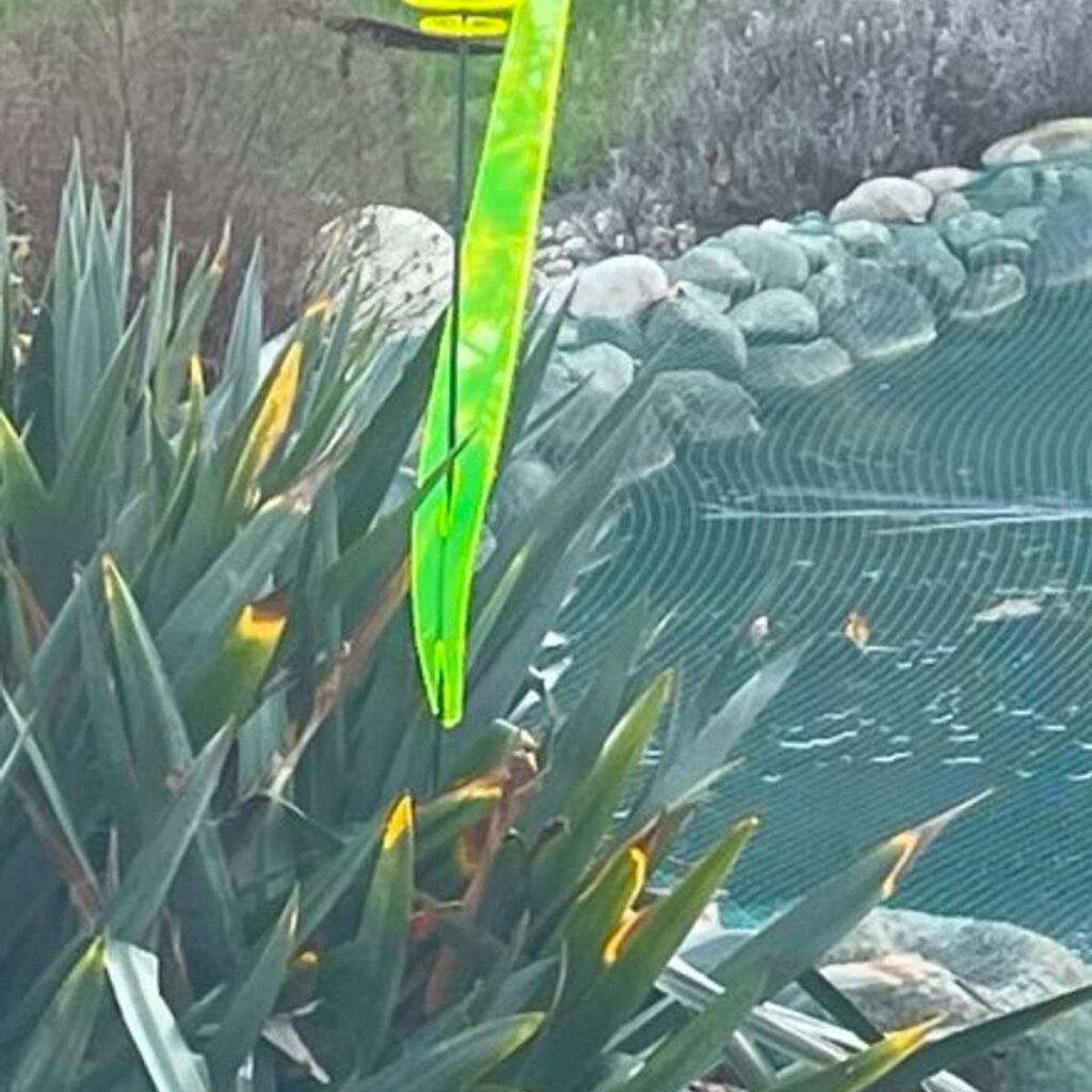 das leuchtende Schilfgras 23 SunForm-Sonnenfänger Bild #1 von Katharina T.