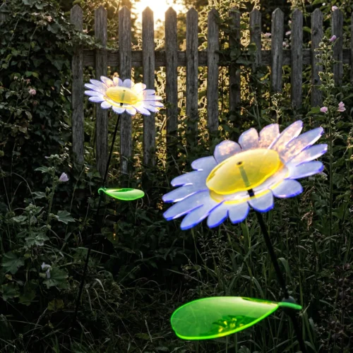 Sonnenfänger, Gartendeko, Gartenstecker, 2 leuchtende Gänseblümchen im eingewachsenen Garten vor einem verwitterten Gartenzaun mit Sonnenschein von der Rückseite