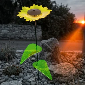 leuchtende Sonnenblume 7 SunForm-Sonnenfänger Sonnenfänger Sonnenblume im Steingarten mit Regentropfen von Abendsonne beleuchtet